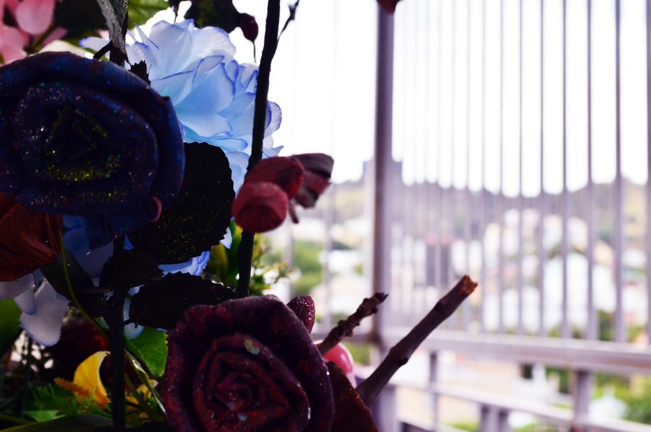 Проживание в семье TamMary Тбилиси