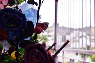 Проживание в семье TamMary Тбилиси Двухместный номер с 1 кроватью и балконом-3