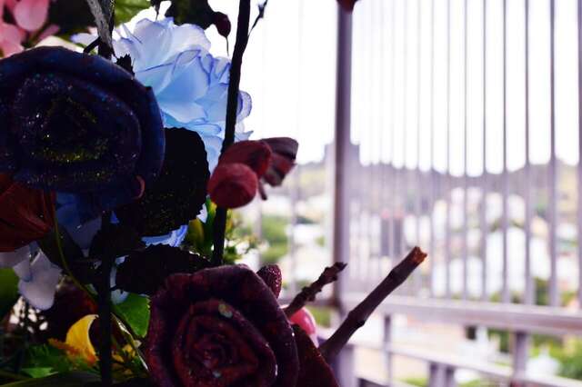 Проживание в семье TamMary Тбилиси-6